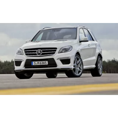 ML63